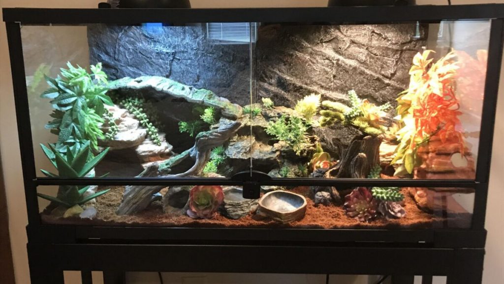 Tarantula Enclosure Reptile Terrarium Tank,Versatile Enclosure For