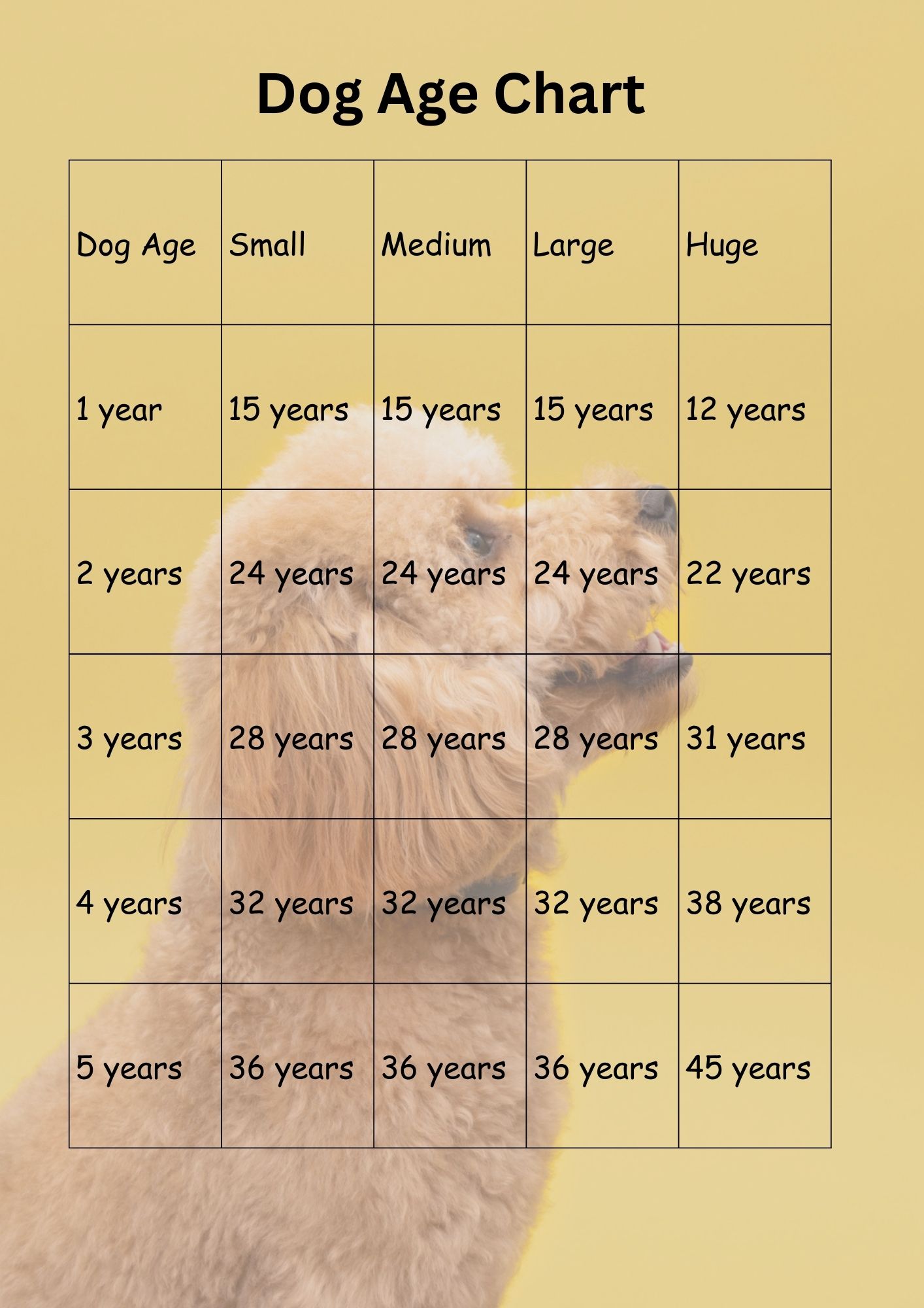 how old is 5 dogs years in human years