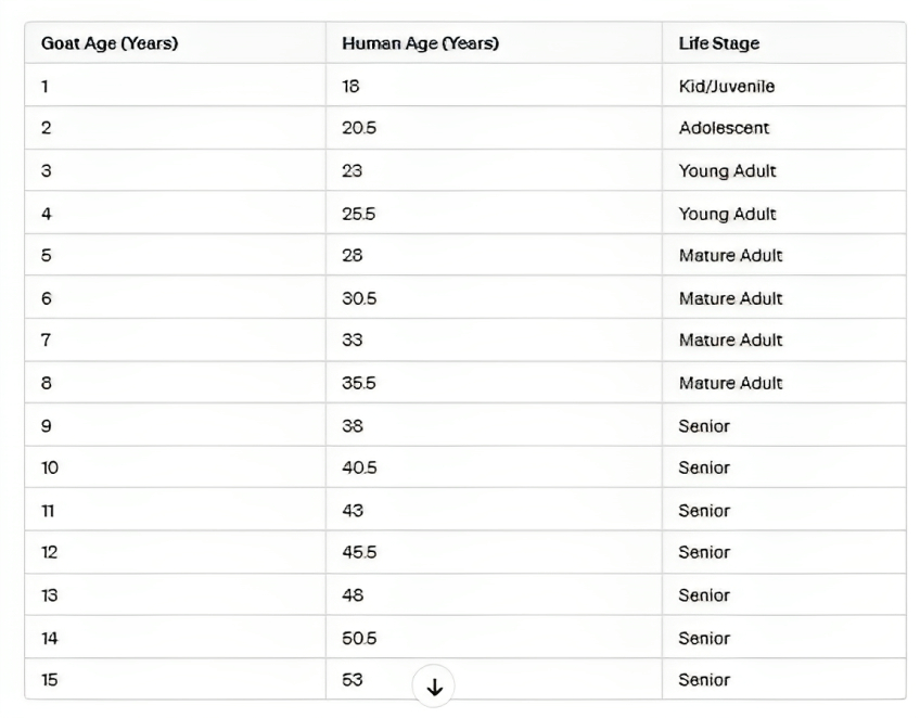 Goat Years to Human Years Goat Age Calculator YIHY