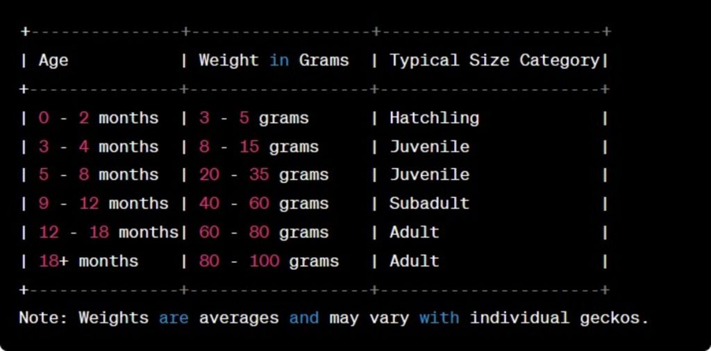 Leopard Gecko Size Weight Growth Chart - How Big Do Leopard Geckos Get