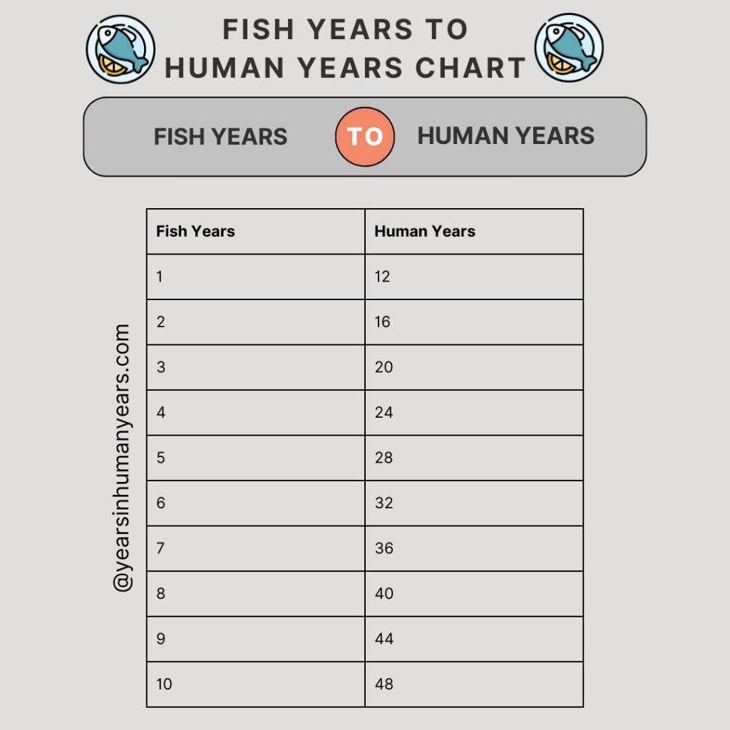 Fish Years to Human Years Fish Age Calculator YIHY
