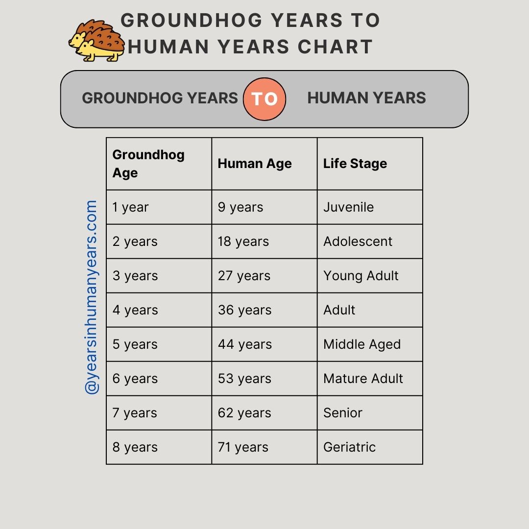 Groundhog Years to Human Years (Convert, Calculate, Chart) - YIHY