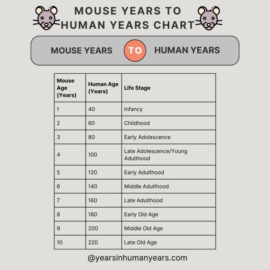 Mouse Chart