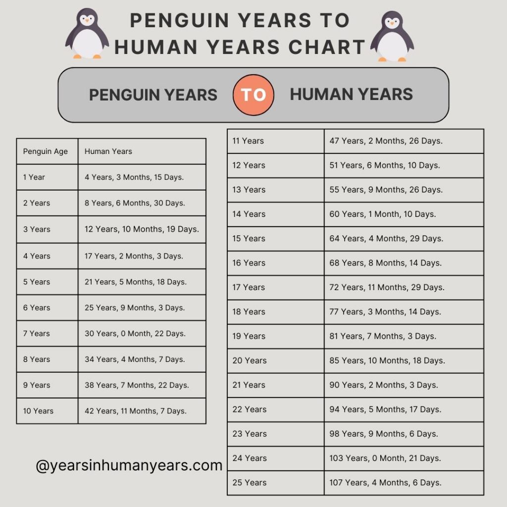 Penguin Years to Human Years - Penguin Age Calculator - YIHY