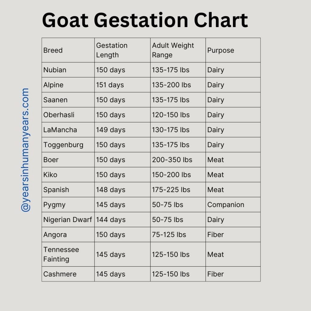 Goat Gestation Calculator - Pregnancy Calculator - YIHY