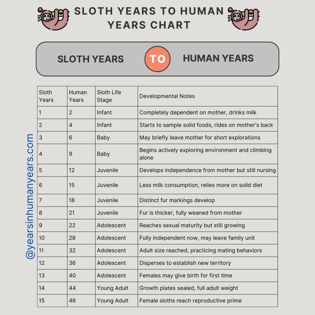 Sloth Age Chart