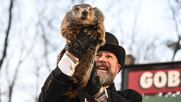 Punxsutawney Groundhog Day 2025 Tickets, Results, Events, Meaning