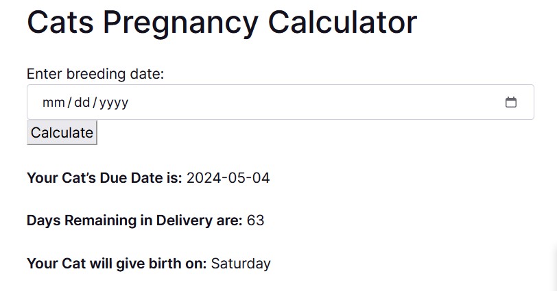 Cats Pregnancy Calculator