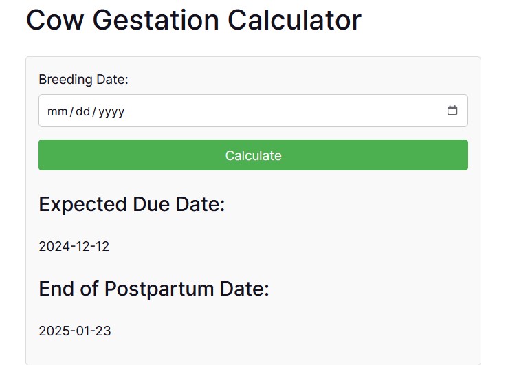 Cow Gestation Calculator – Cattle Gestation