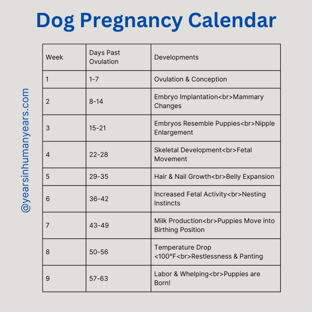 Best Dog Pregnancy Calculator Gestation Calculator YIHY