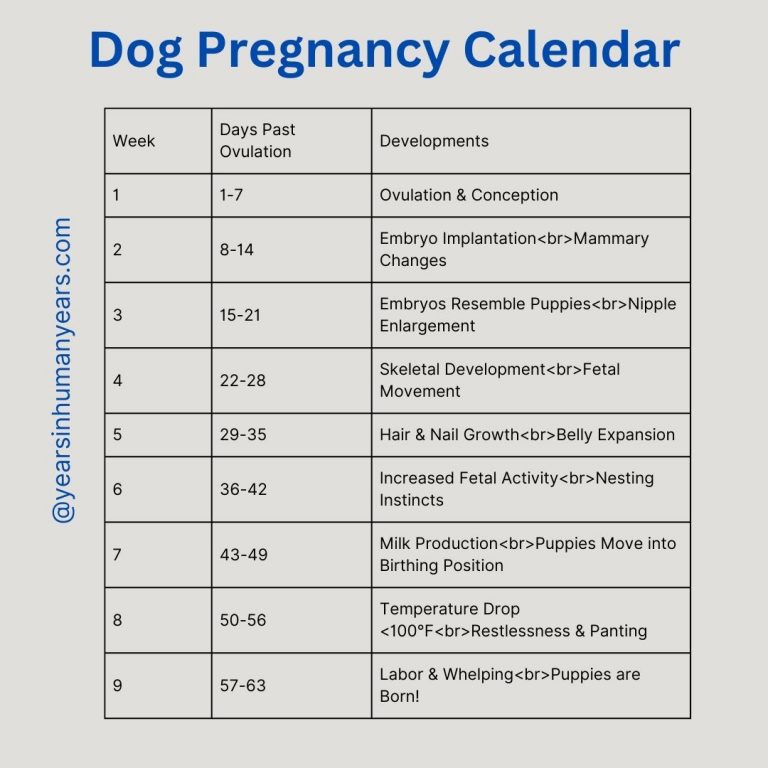 Best Dog Pregnancy Calculator - Gestation Calculator - YIHY