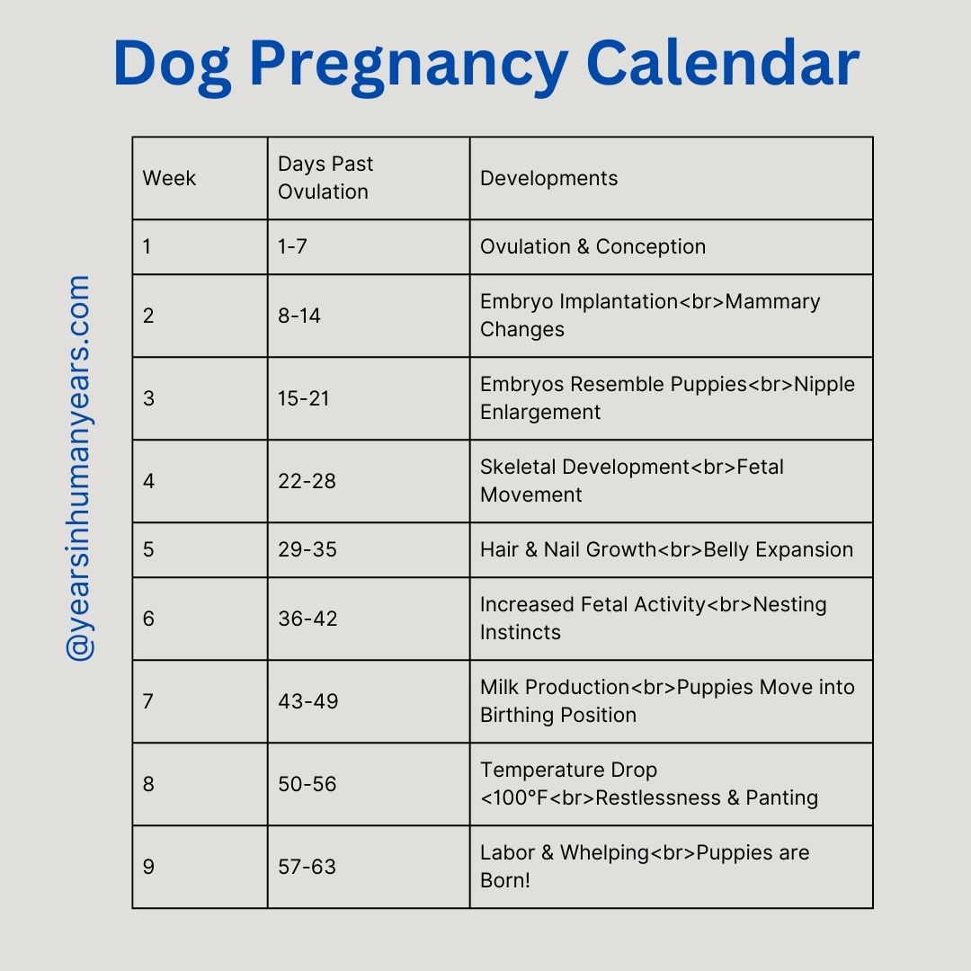 Best Dog Pregnancy Calculator Gestation Calculator YIHY