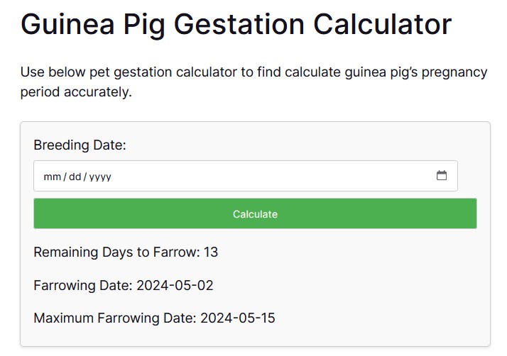 Guinea Pig Gestation Calculator