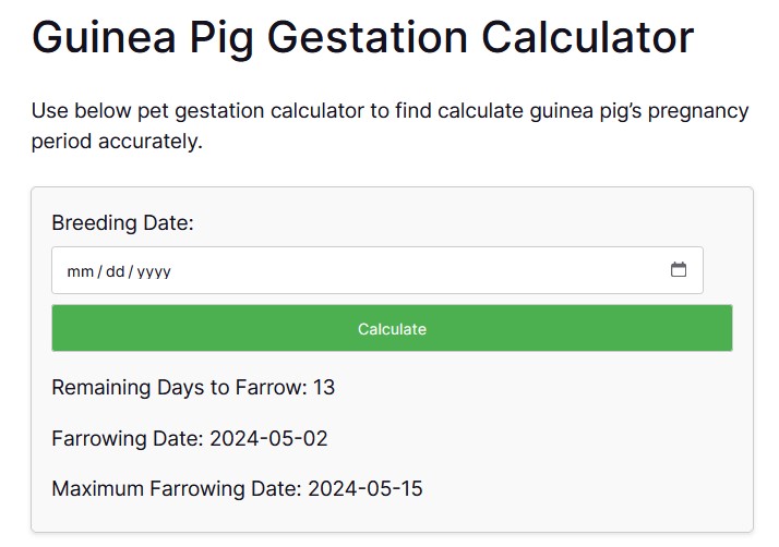 Calculator Animal Years To Human Years Calculator Pet Age In Human 